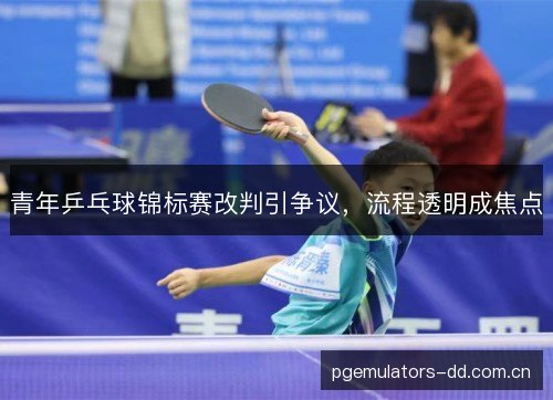 青年乒乓球锦标赛改判引争议,流程透明成焦点 青年乒乓球锦标赛改判引争议,流程透明成焦点